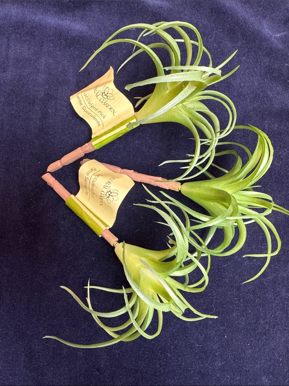 Set of 3 Artificial Succulent Tillandsia Air Plants